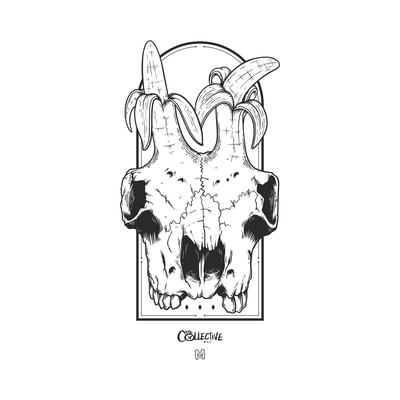 Cráneo Cabra